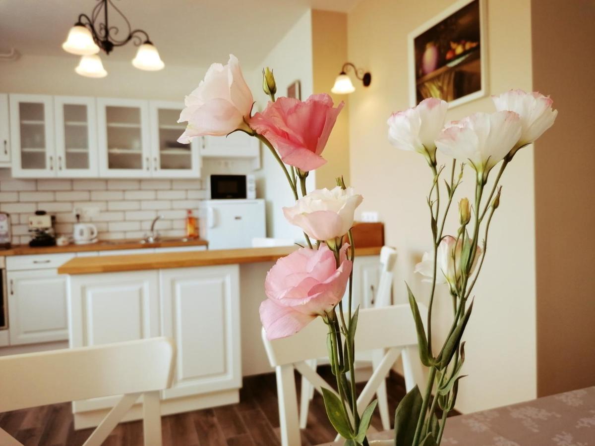 Elisoria Apartments チェーセクトマイ エクステリア 写真
